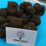 Tartufo fresco del Sannio appena arrivato in azienda