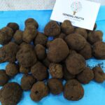 Scopri il nostro Tartufo fresco del Sannio appena arrivato in azienda